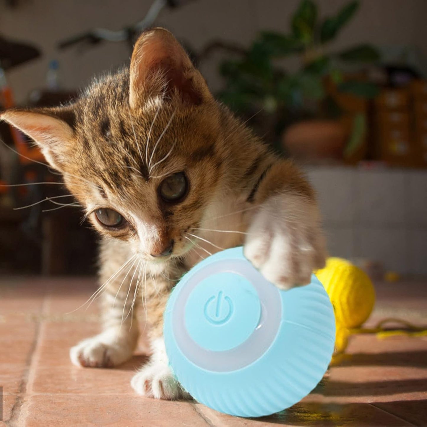 Palla interattiva per gatti - Coda E Cuore