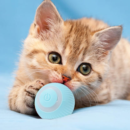 Palla interattiva per gatti - Coda E Cuore
